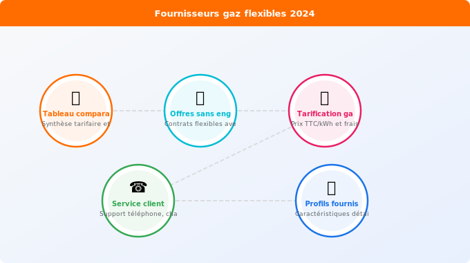 Les principaux fournisseurs proposant des offres flexibles Schéma technique 1. Gaz — Les principaux fournisseurs proposant des offres flexibles