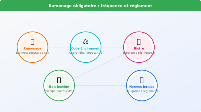 Ramonage obligatoire : fréquence et réglementation Schéma technique 2. Rénovation Énergétique — Ramonage obligatoire : fréquence et réglementation
